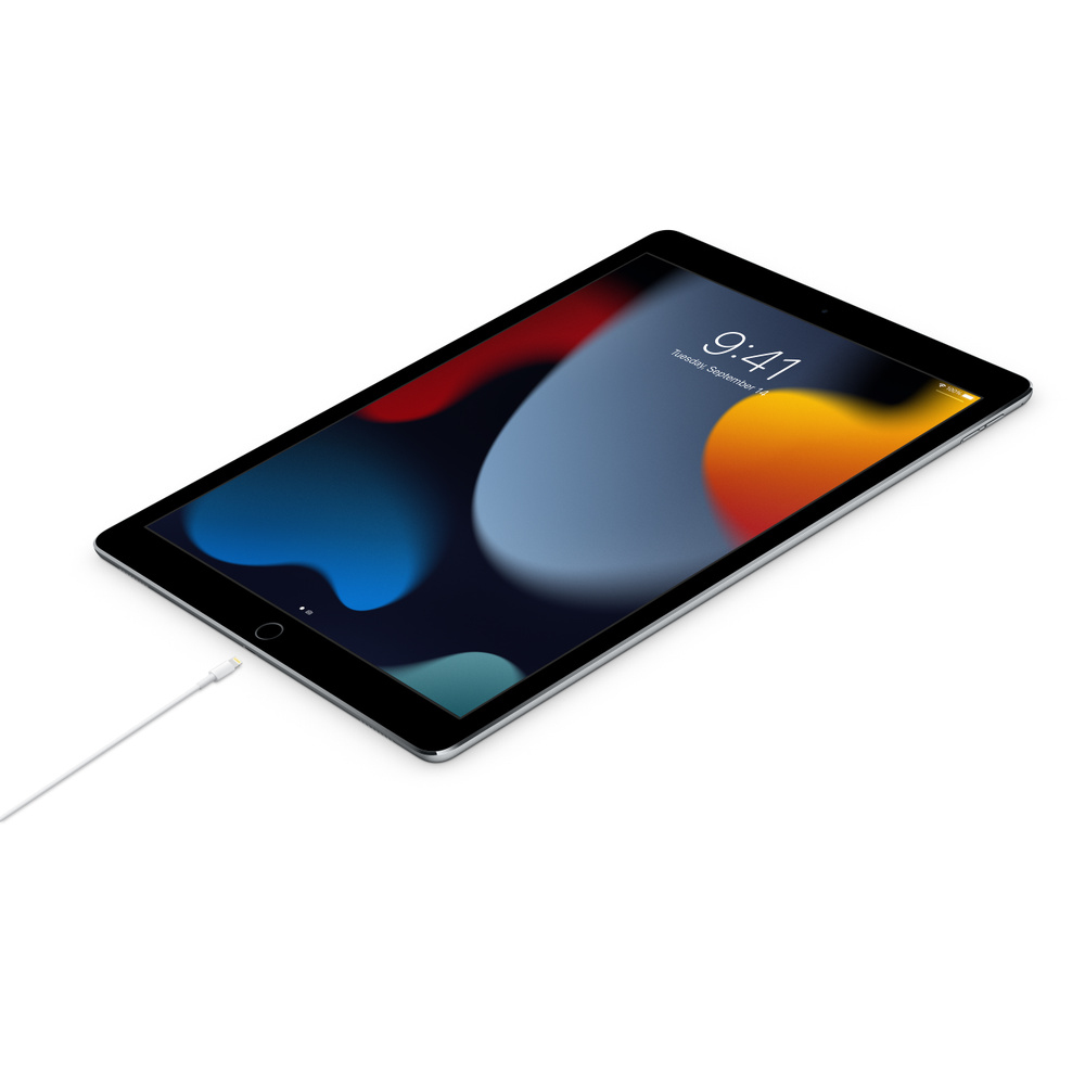 APPLE USB-C TO LIGHTNING CABLE 1M CO