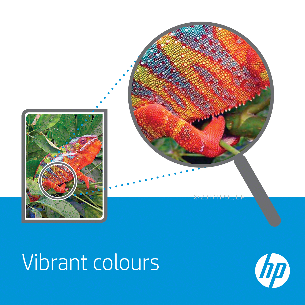 HP 363 Series Photo Value Pack - 1 - hög kapacitet - svart,