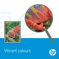 HP 363 Series Photo Value Pack - 1 - hög kapacitet - svart,