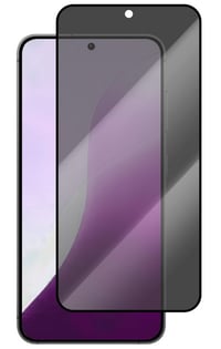 Tolerate Glass Privacy SAMSUNG S25 T2